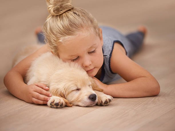 Easy Care Floors – A Guide to Low Maintenance Flooring Options for Busy Homes