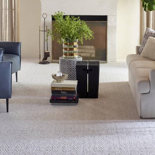 Living Room Pattern Carpet - Family Flooring in Bonners Ferry, ID